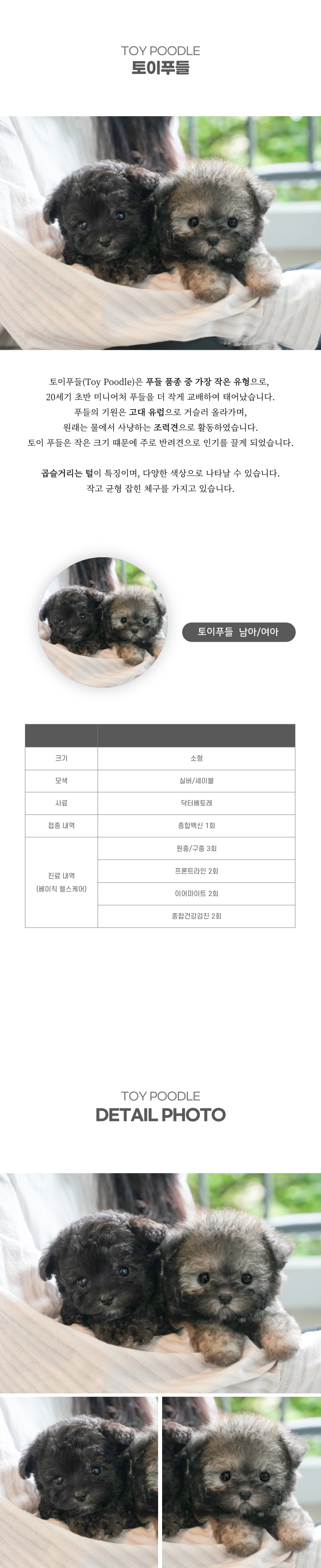 토이푸들_상세이미지_2